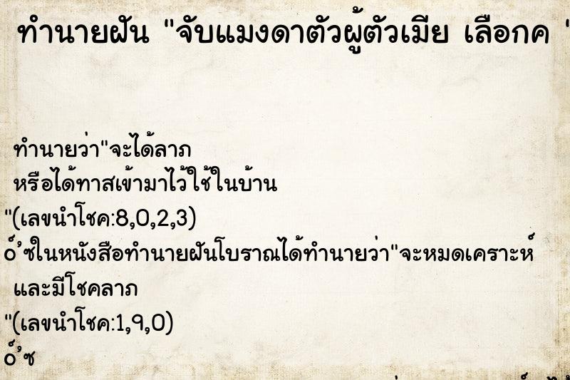 ทำนายฝันทำนายฝันจับแมงดาตัวผู้ตัวเมียเลือกค